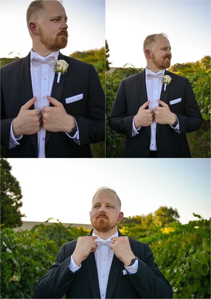 Mini Session Portraits